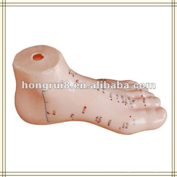 ISO Foot Acupuncture Model 13CM